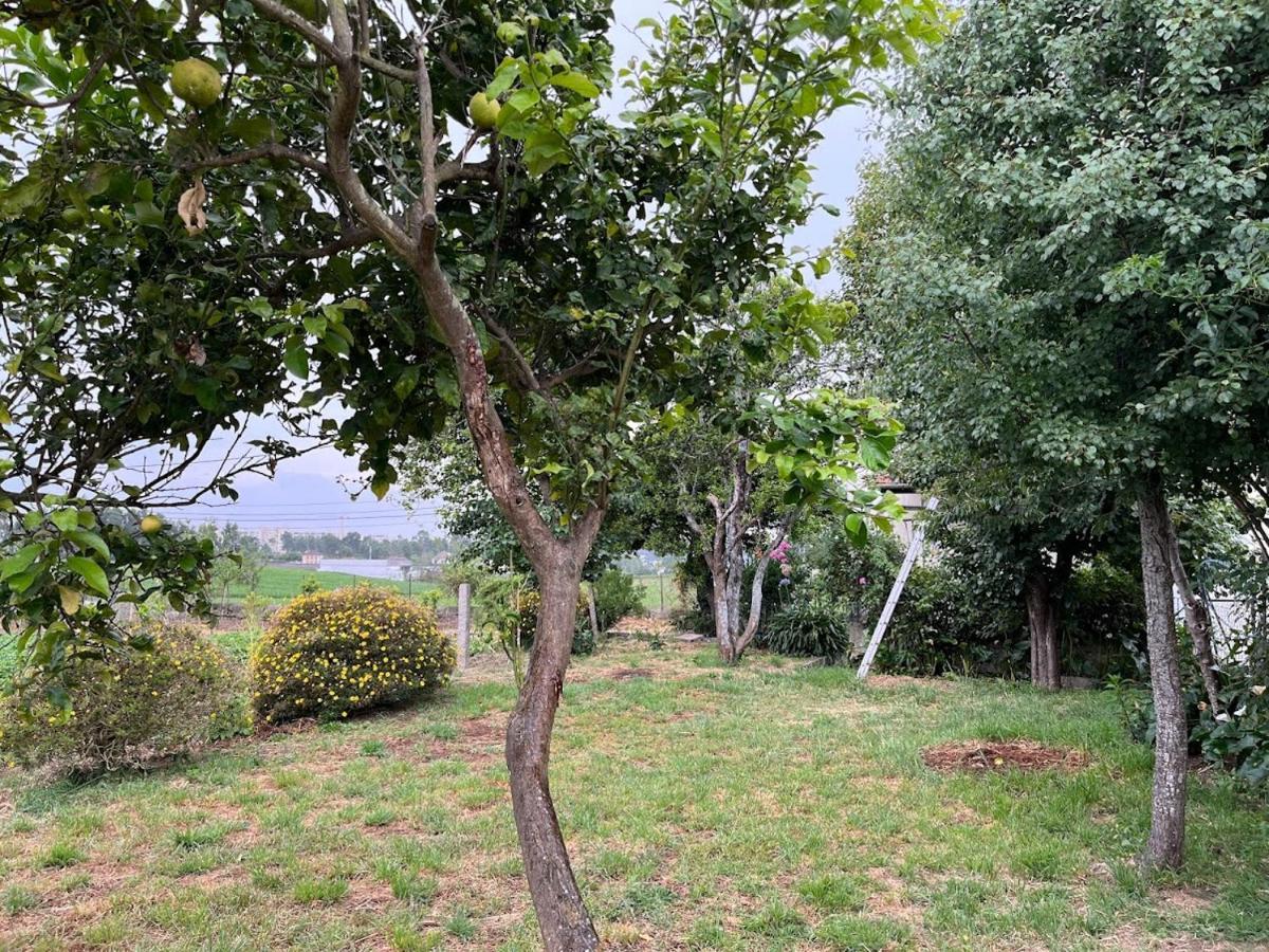 Vilar do PinheiroCasa Do Sete公寓 外观 照片